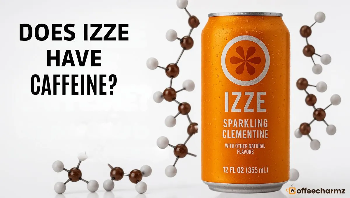 Does Izze Have Caffeine? A detailed close-up of an Izze Sparkling Blackberry can with the question prominently displayed.